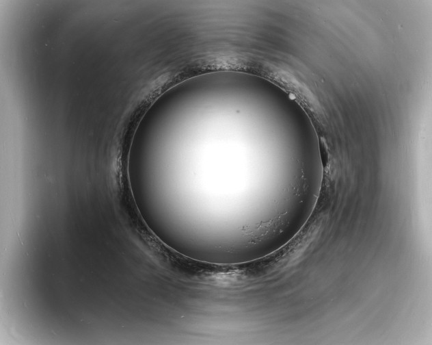 X0000093600306200710151226