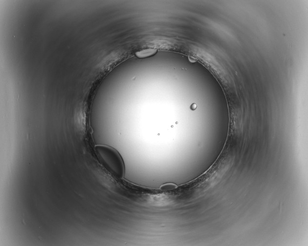X0000093600309200710151226