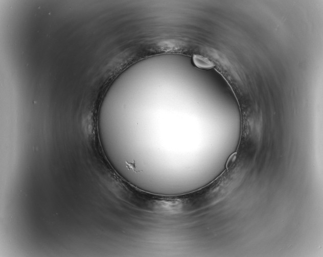 X0000093600317200710151225
