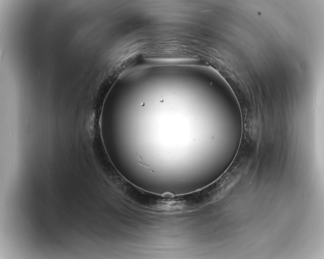 X0000093600319200710151225