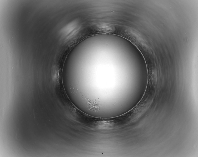 X0000093600320200710151225