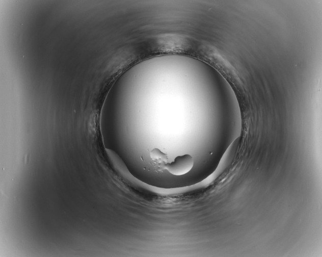 X0000093600325200710151225