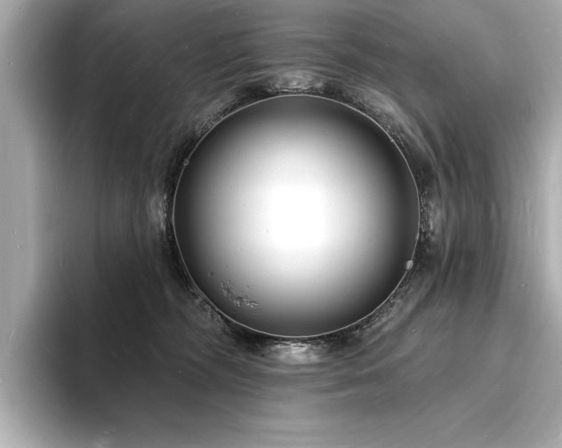 X0000093600326200710151225