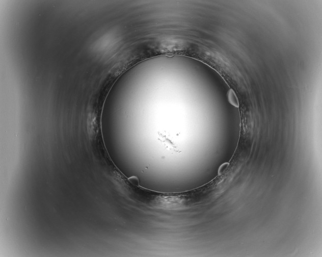 X0000093600327200710151225