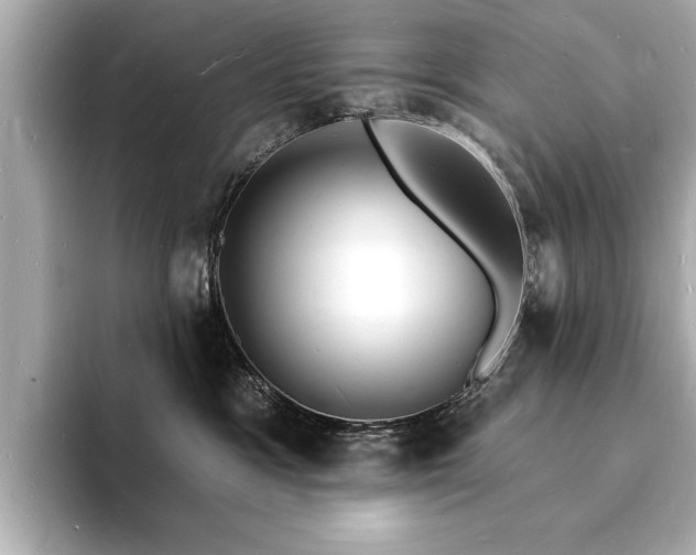 X0000093600333200710151225