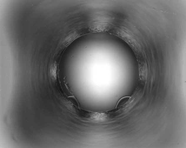 X0000093600334200710151225