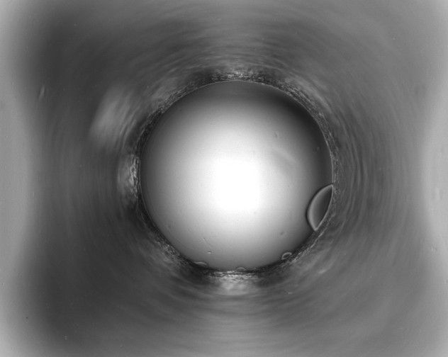 X0000093600336200710151225