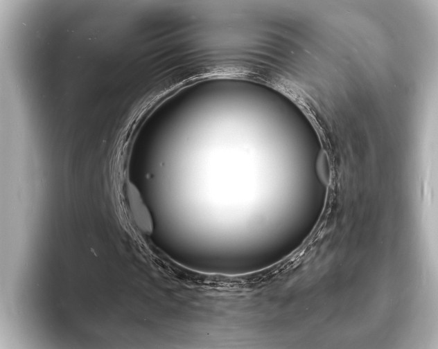 X0000093600337200710151225