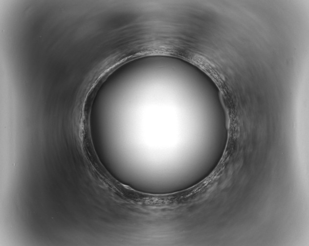 X0000093600338200710151225