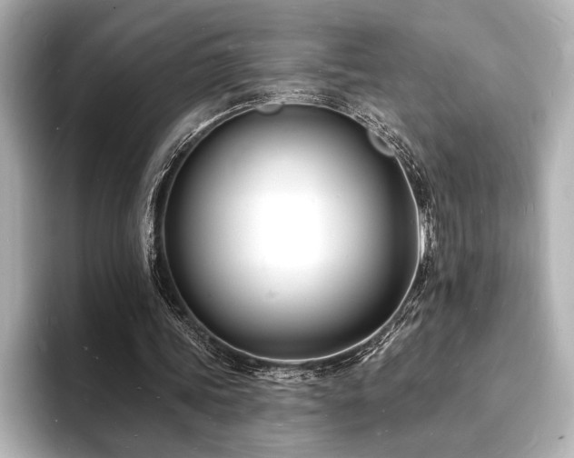 X0000093600339200710151225