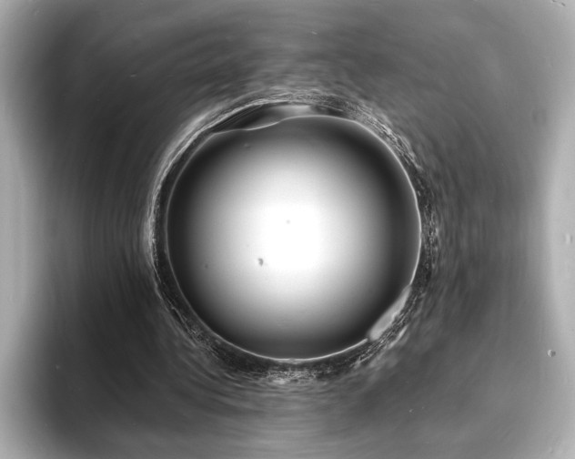 X0000093600340200710151225