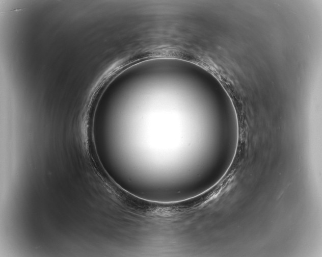 X0000093600341200710151225