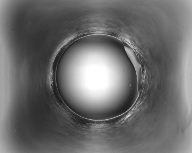 X0000093600342200710151225