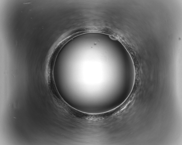 X0000093600343200710151225