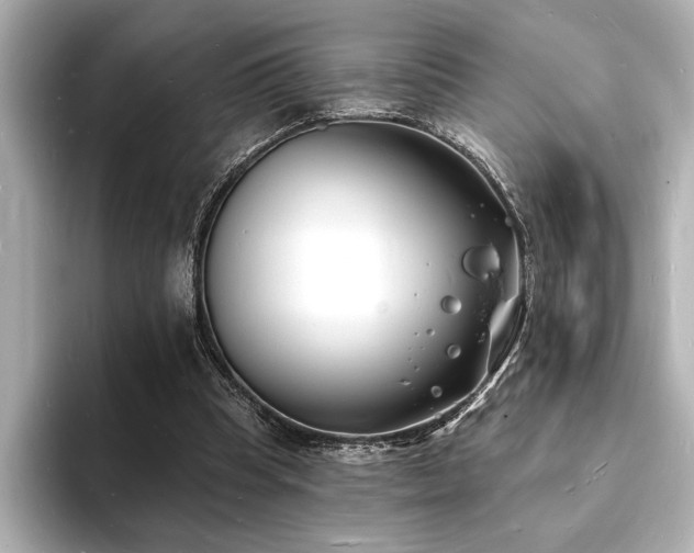 X0000093600345200710151225