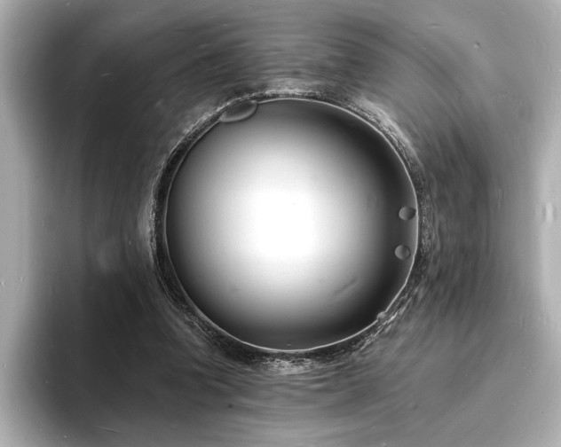 X0000093600346200710151225