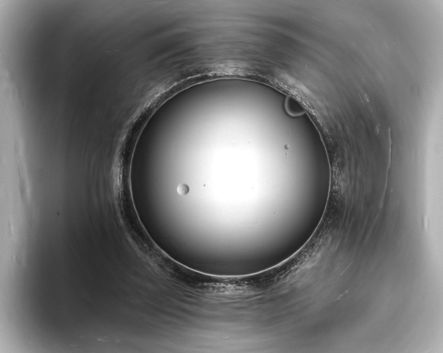 X0000093600347200710151225