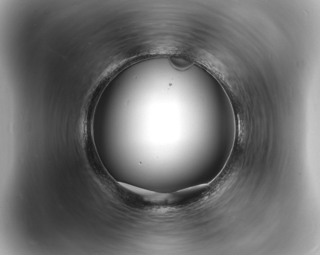 X0000093600348200710151225