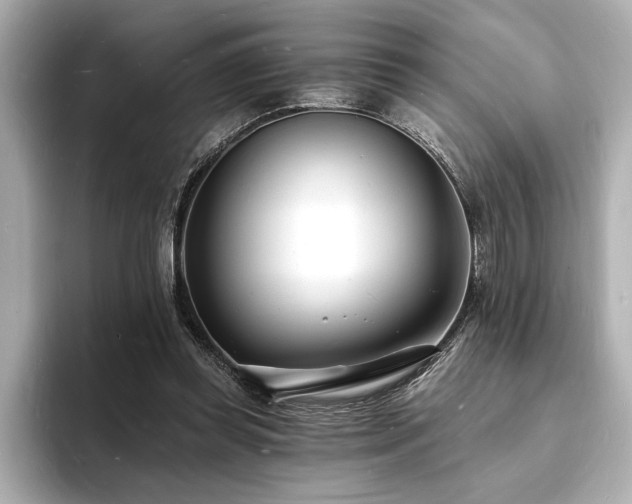 X0000093600349200710151225