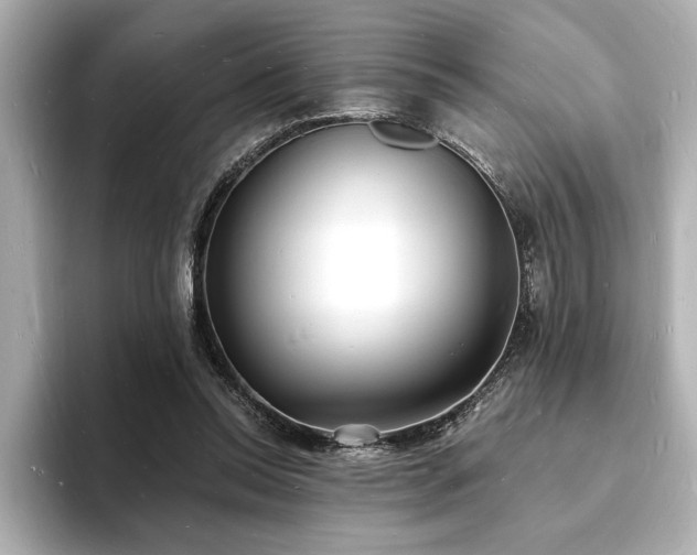X0000093600350200710151225