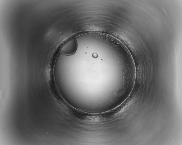 X0000093600351200710151225