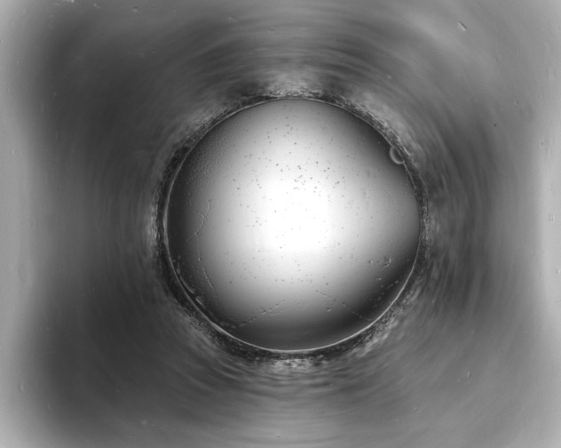 X0000093600353200710151225