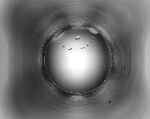 X0000093600354200710151225