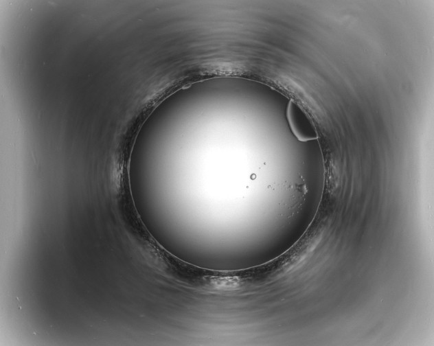 X0000093600355200710151225