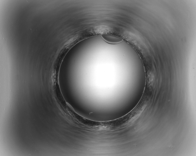 X0000093600356200710151225