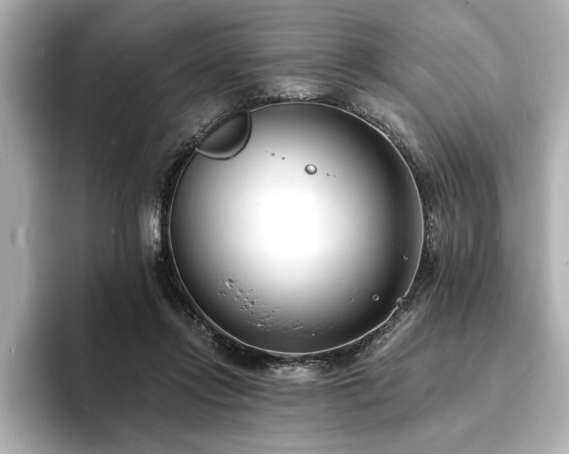 X0000093600358200710151225