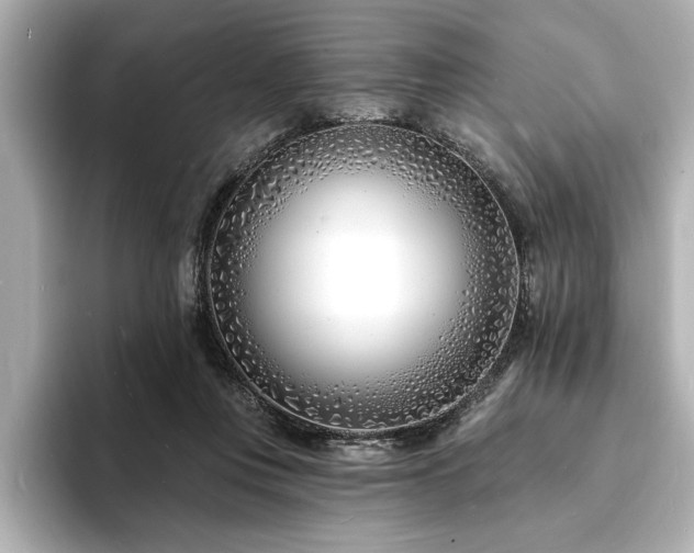 X0000093600359200710151225