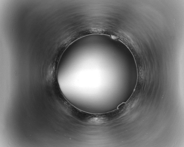 X0000093600364200710151225