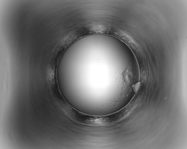 X0000093600365200710151225