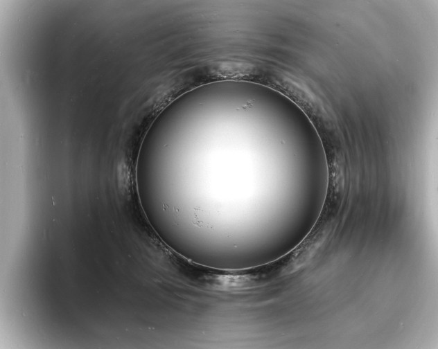 X0000093600371200710151225