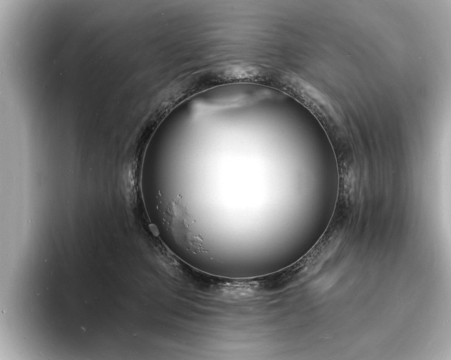 X0000093600373200710151225