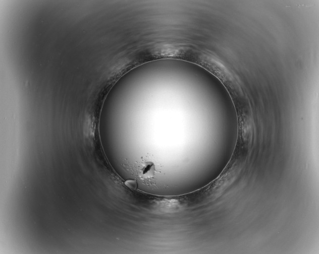 X0000093600374200710151225
