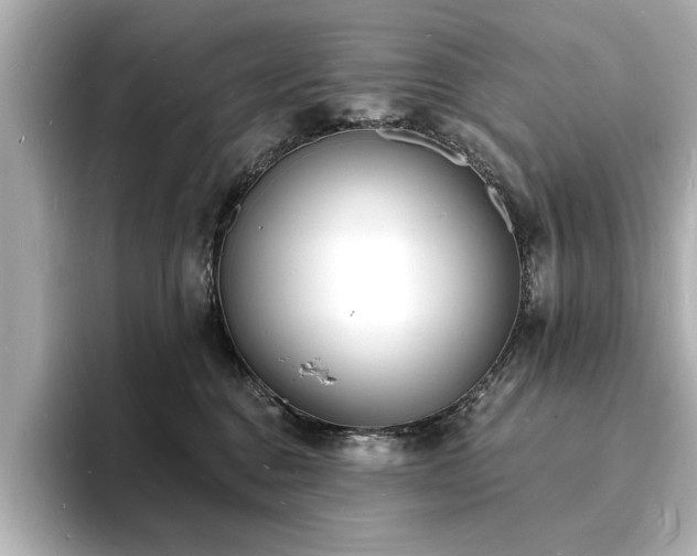 X0000093600376200710151225
