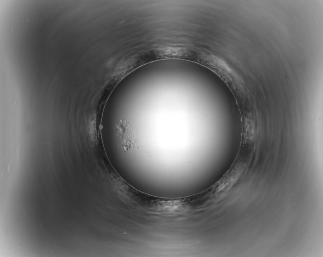 X0000093600377200710151225