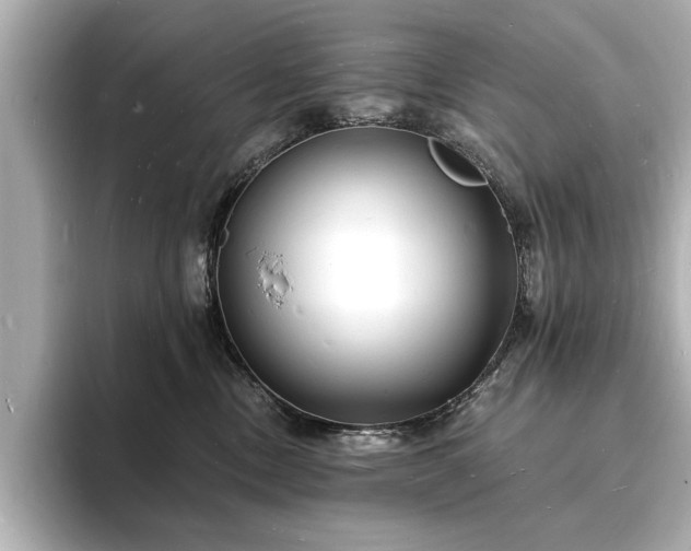 X0000093600378200710151225