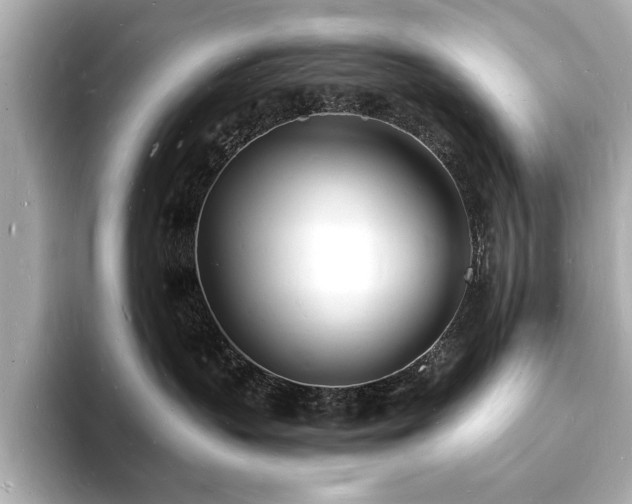 X0000093600383200710151225