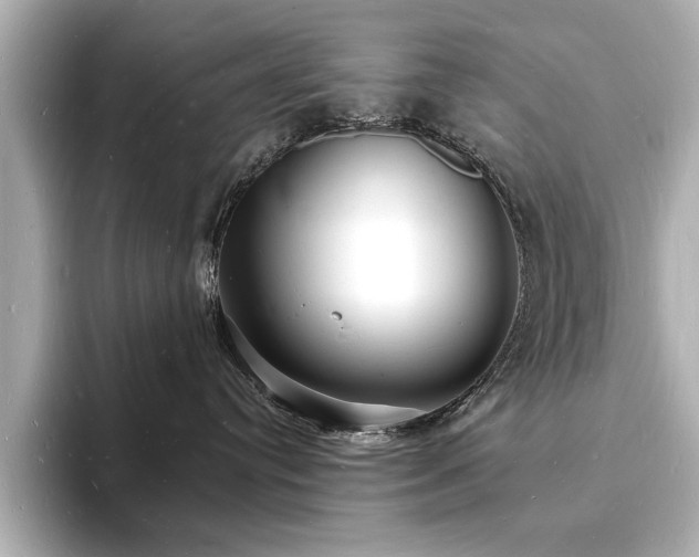 X0000093600384200710151225