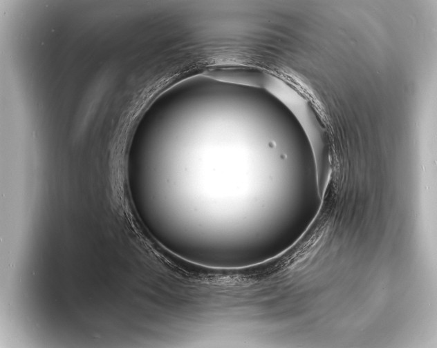 X0000093600385200710151225