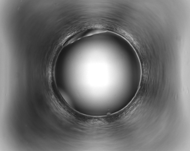 X0000093600386200710151225