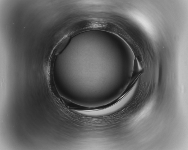 X0000093600387200710151225