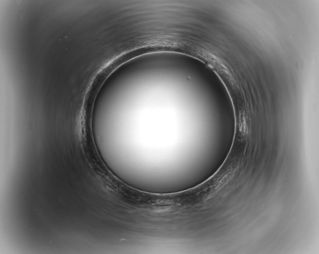 X0000093600388200710151225