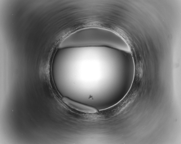 X0000093600389200710151225