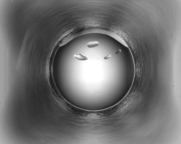 X0000093600390200710151225