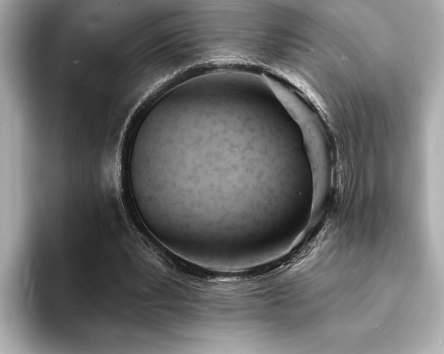 X0000093600391200710151225