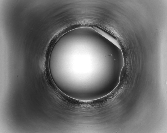 X0000093600392200710151225