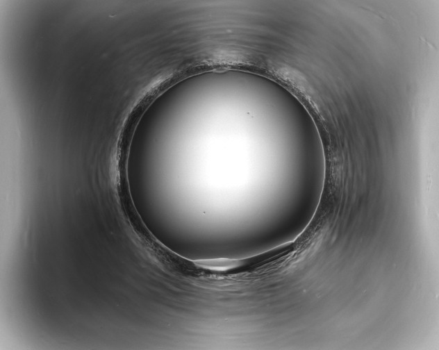 X0000093600395200710151225